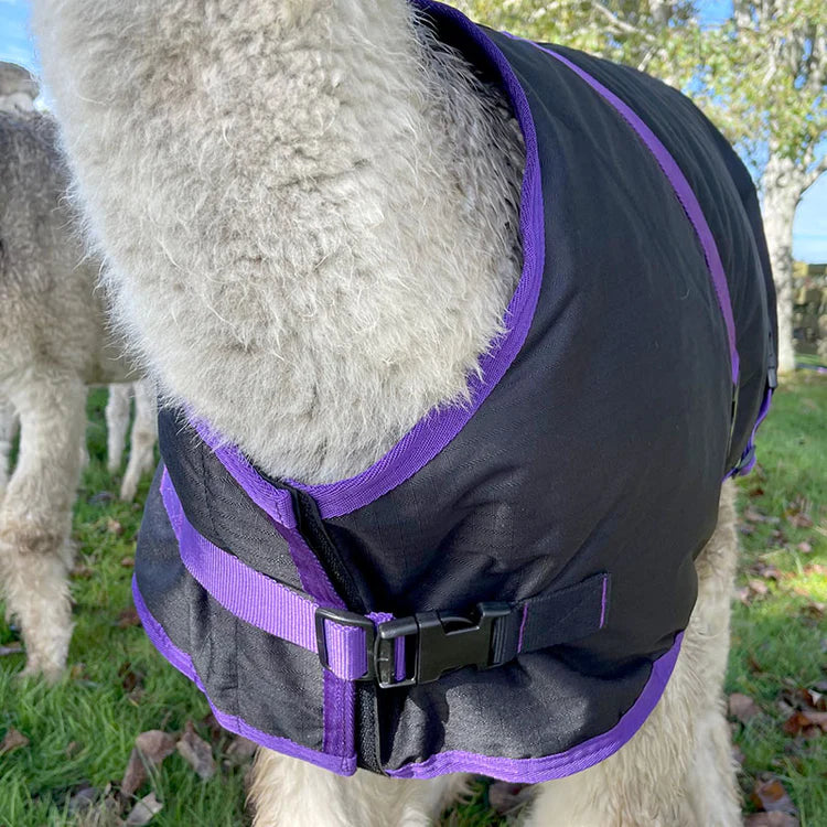 Vest alpakadele